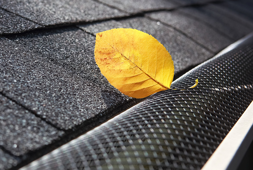 Gutter Guard